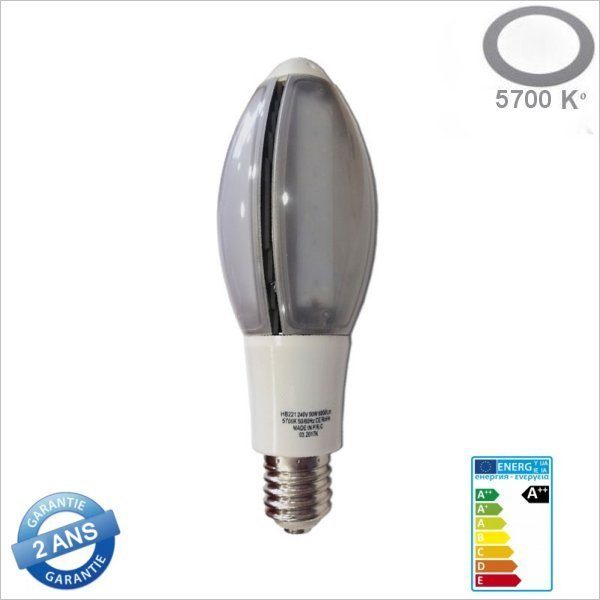 Lampe led 50W E40 pour lampadaire d'éclairage public IP20